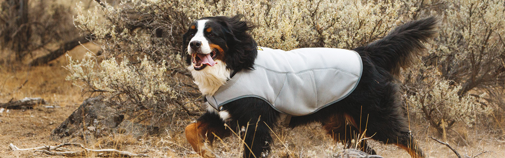 PAWZ Road Hund Jacke Kleidung Mantel Kapuzenpullover Haustier Winterkleidung Herbst Warme Gemütliche Weste für Kleine Mittel Große Hunde Upgrade-Version 